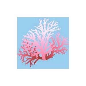 Rose Lace Coral